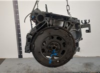  Блок цилиндров (Шорт блок) Nissan X-Trail (T30) 2001-2006 20346229 #4