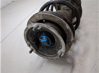 31316768797, 31316768798 Амортизатор подвески BMW 5 E60 2003-2010 20346391 #5