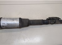  Амортизатор подвески Mercedes S W220 1998-2005 20346463 #1