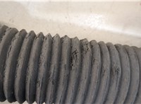  Амортизатор подвески Mercedes S W220 1998-2005 20346463 #4
