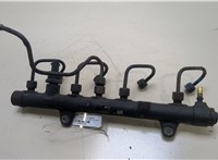  Рампа (рейка) топливная Renault Trafic 2001-2014 20346746 #1