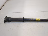 42547084 Амортизатор подвески Chevrolet Bolt 2016- 20347215 #1