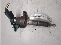 1980ER, 9802448680 Форсунка топливная Peugeot 3008 2009-2016 20347269 #1