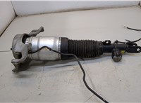  Амортизатор подвески Hyundai Equus 2013-2016 20347403 #1