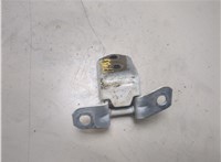  Петля двери Mazda CX-9 2016- 20347519 #2