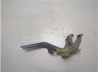 Петля капота Toyota Sienna 3 2014-2017 20345010 #2