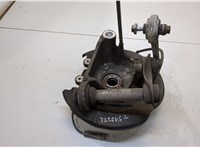 33411093371, 33321091335 Ступица (кулак, цапфа) BMW 5 E39 1995-2003 20347635 #1