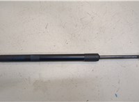  Амортизатор крышки багажника Chevrolet Bolt 2016- 20347711 #1