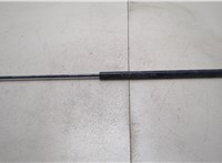  Амортизатор капота Ford F-250 2010-2016 20348245 #1