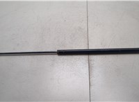  Амортизатор капота Ford F-250 2010-2016 20348248 #1