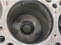 11009VW202 Блок цилиндров (Шорт блок) Nissan Terrano 2 1993-2006 20348696 #2