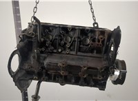 11009VW202 Блок цилиндров (Шорт блок) Nissan Terrano 2 1993-2006 20348696 #5