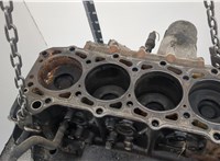 11009VW202 Блок цилиндров (Шорт блок) Nissan Terrano 2 1993-2006 20348696 #9