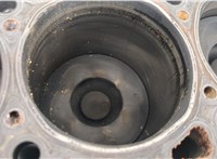 11009VW202 Блок цилиндров (Шорт блок) Nissan Terrano 2 1993-2006 20348696 #11