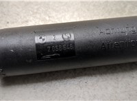  Амортизатор крышки багажника BMW 7 E65 2001-2008 20348722 #2