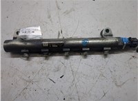 96859150 Рампа (рейка) топливная Chevrolet Captiva 2006-2011 20349243 #1