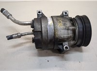 Компрессор кондиционера Renault Scenic 1996-2002 20351851 #1