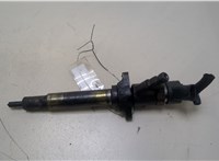  Форсунка топливная Peugeot 407 20352929 #1