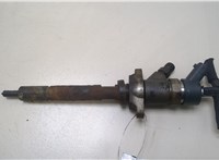  Форсунка топливная Peugeot 407 20352934 #1