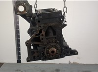03G100098MX Блок цилиндров (Шорт блок) Skoda Rapid 20353185 #5