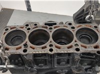 03G100098MX Блок цилиндров (Шорт блок) Skoda Rapid 20353185 #9
