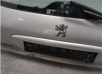  Крышка (дверь) багажника Peugeot 206 20353352 #13