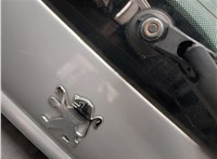  Крышка (дверь) багажника Peugeot 206 20353352 #14