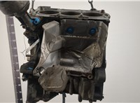 03E100033T, 03E100033TX Блок цилиндров (Шорт блок) Volkswagen Polo 2009-2014 20353397 #4