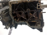 03E100033T, 03E100033TX Блок цилиндров (Шорт блок) Volkswagen Polo 2009-2014 20353397 #5