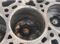 1376421, 1749284, 6C1Q6011EB, RM6C1Q6011EC Блок цилиндров (Шорт блок) Ford Transit 2006-2014 20353789 #11