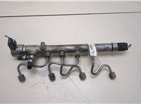  Рампа (рейка) топливная Mercedes E W212 2013-2016 20354059 #1