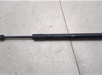 654701AA1A Амортизатор капота Nissan Murano 2008-2015 20355208 #1