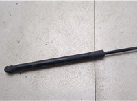 654701AA1A Амортизатор капота Nissan Murano 2008-2015 20355210 #1
