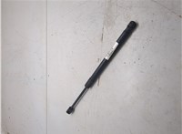 654701AA1A Амортизатор капота Nissan Murano 2008-2015 20355210 #3