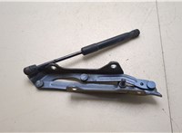 Петля крышки багажника Subaru Legacy (B15) 2014-2020 20355355 #1