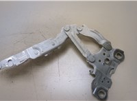  Петля капота BMW 3 G20, G21 2018- 20355764 #3