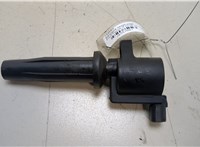  Катушка зажигания Ford Focus 2 2008-2011 20357507 #1