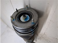 RNB501540, 7H4218B036BA Амортизатор подвески Land Rover Range Rover 3 (LM) 2002-2012 20358039 #5