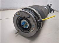 RNB501540, 7H4218B036BA Амортизатор подвески Land Rover Range Rover 3 (LM) 2002-2012 20358039 #8