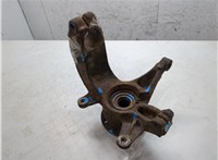8200308650, 8200297033 Ступица (кулак, цапфа) Renault Megane 2 2002-2009 20358084 #7