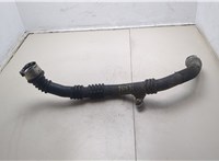  Патрубок интеркулера Dacia Duster 2010-2017 20358656 #1