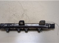  Рампа (рейка) топливная Land Rover Range Rover Sport 2005-2013 20358962 #1