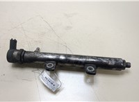  Рампа (рейка) топливная Land Rover Range Rover Sport 2005-2013 20358963 #1