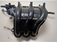  Коллектор впускной Skoda Fabia 2007-2014 20359051 #1
