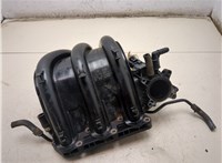 Коллектор впускной Skoda Fabia 2007-2014 20359051 #5