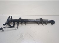  Рампа (рейка) топливная Volvo XC70 2002-2007 20359200 #1