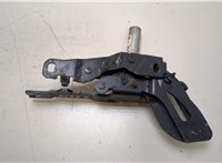  Петля капота Peugeot RCZ 2010-2015 20359457 #1