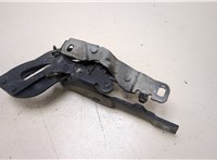  Петля капота Peugeot RCZ 2010-2015 20359460 #1