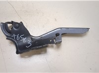  Петля капота Peugeot RCZ 2010-2015 20359460 #4