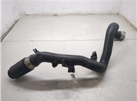 60008603 Патрубок интеркулера Buick Encore GX 2019-2024 20360034 #1